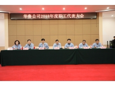 華魯公司召開(kāi)2018年度職工代表大會(huì)